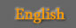 Enter English Site